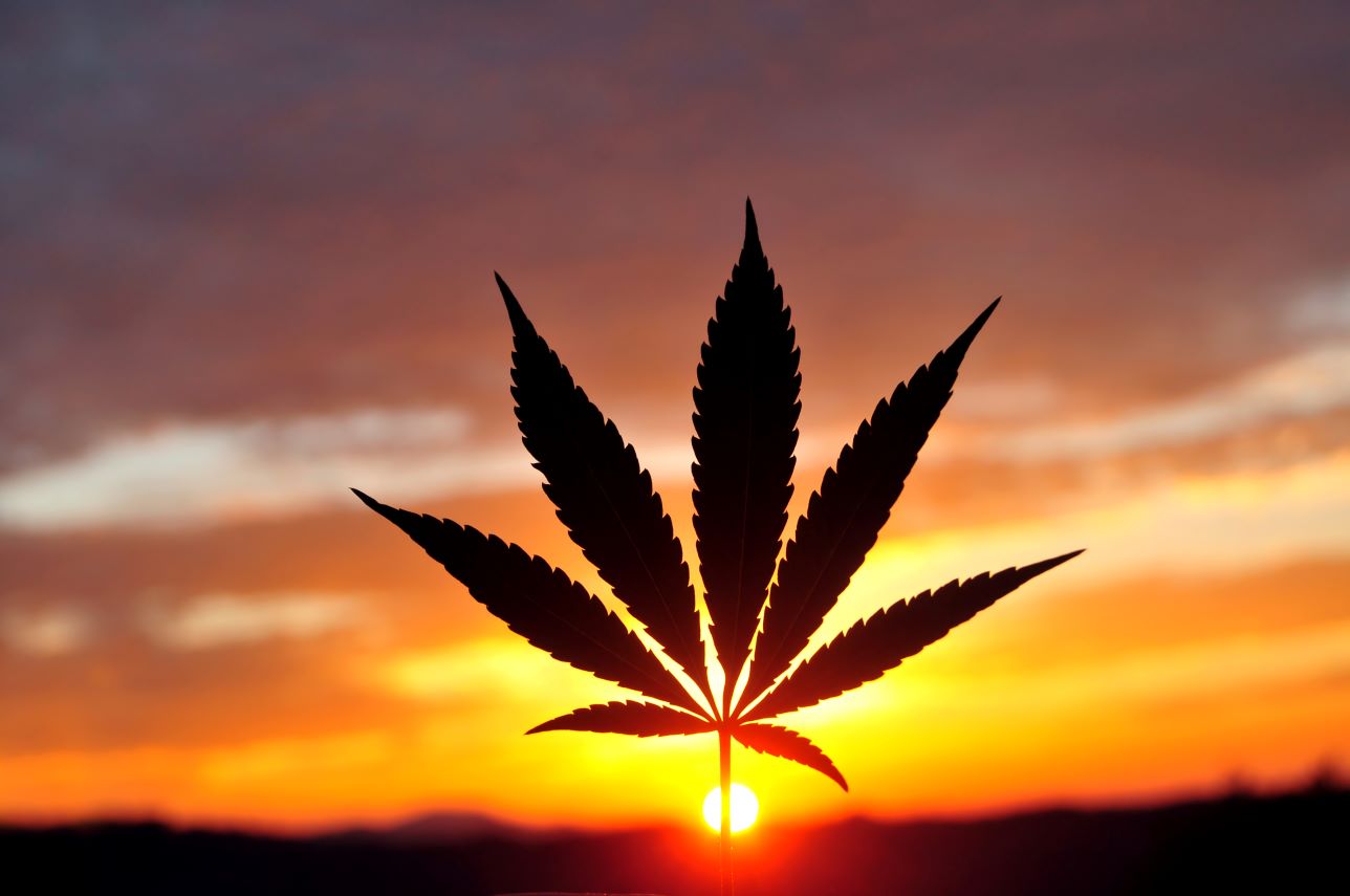 Alabama Marijuana Laws 2023