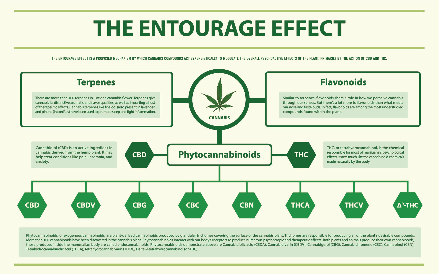 The Cannabis Entourage Effect: Myth or Reality?