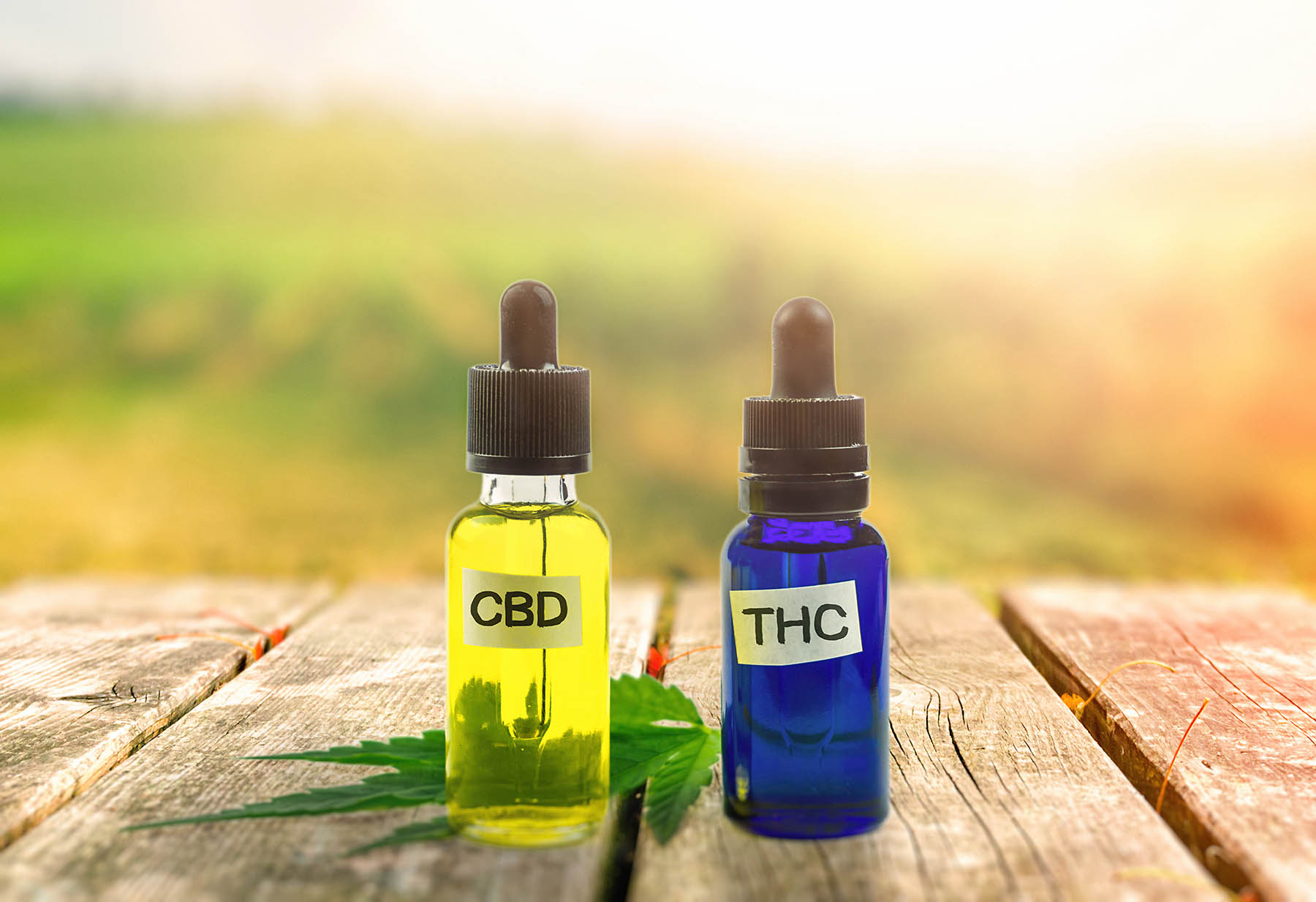CBD vs. THC: Understanding the Differences and Their Effects